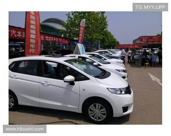 北京羽毛球队在邀请赛中的拼搏历程与荣耀时刻全景回顾